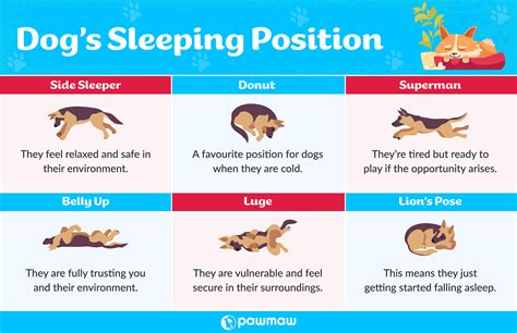 doggy oral|Sex Positions from Behind: What They Are and How They’re。